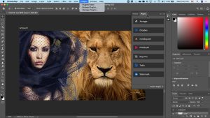Adobe Photoshop CC 2022 Crack Download Free Ita + Torrent 3